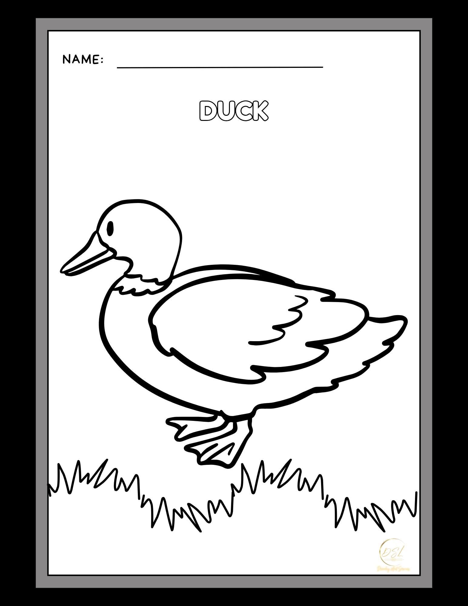 Animals Coloring Pages Activity Worksheet | Black and White | Illustrative Style
