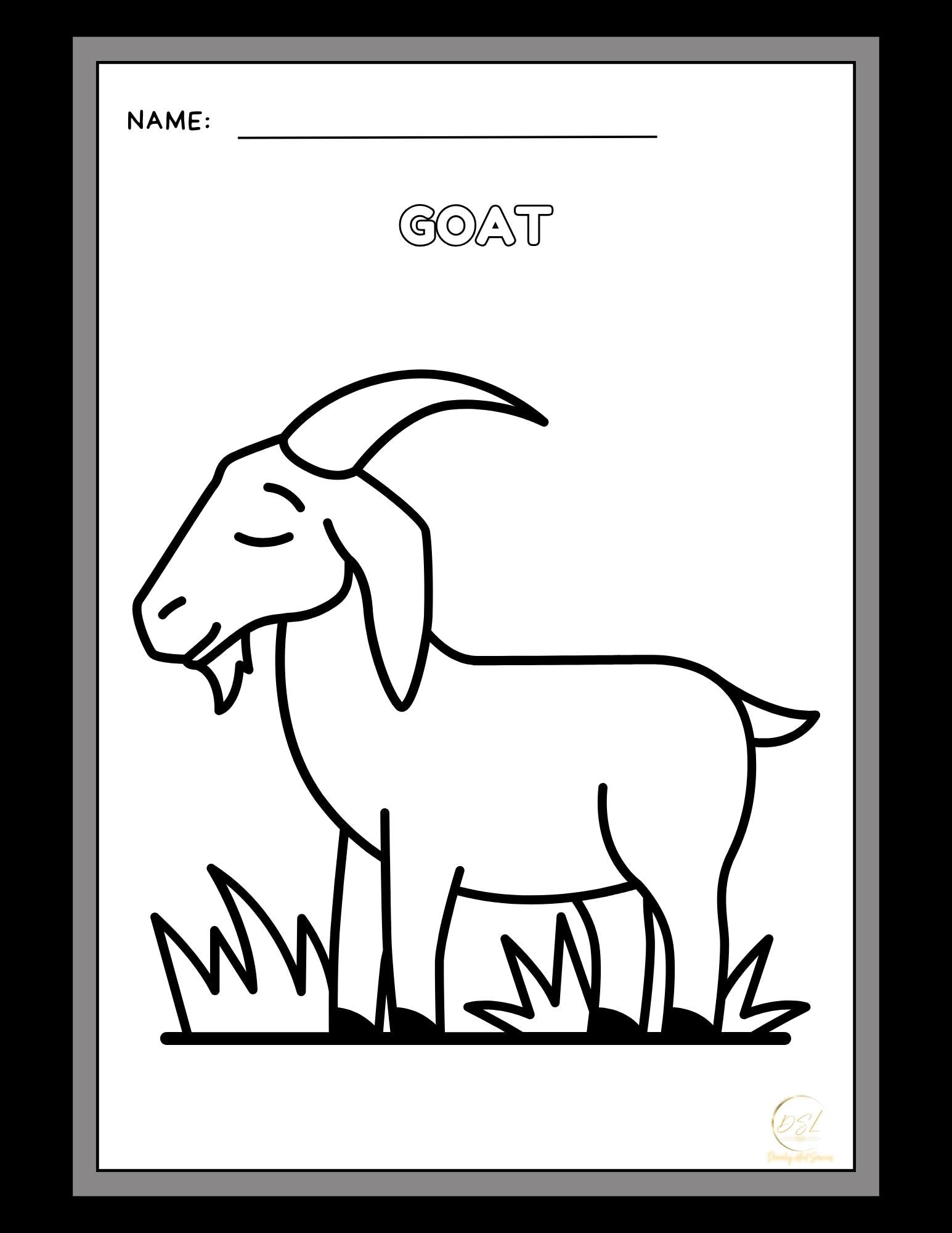 Animals Coloring Pages Activity Worksheet | Black and White | Illustrative Style